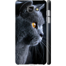 Чехол на Samsung Galaxy A5 (2016) A510F Красивый кот (3038c-158)
