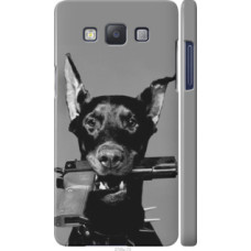 Чехол на Samsung Galaxy A5 A500H Доберман (2745c-73)