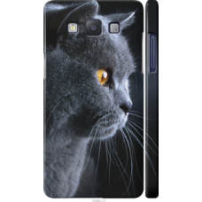 Чехол на Samsung Galaxy A5 A500H Красивый кот (3038c-73)