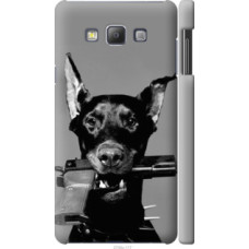 Чехол на Samsung Galaxy A7 A700H Доберман (2745c-117)