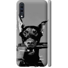 Чехол на Samsung Galaxy A70 2019 A705F Доберман (2745c-1675)