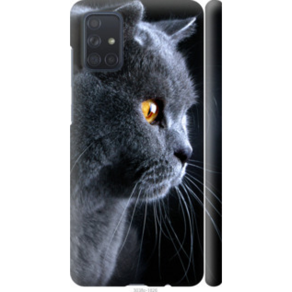 Чохол на Samsung Galaxy A71 2020 A715F Красивый кот (3038c-1826)