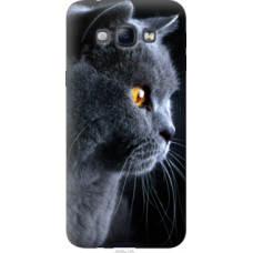 Чехол на Samsung Galaxy A8 A8000 Красивый кот (3038u-135)