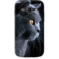 Чехол на Samsung Galaxy Ace 3 Duos s7272 Красивый кот (3038u-33)