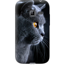 Чехол на Samsung Galaxy Ace Duos S6802 Красивый кот (3038u-253)
