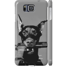 Чехол на Samsung Galaxy Alpha G850F Доберман (2745c-65)