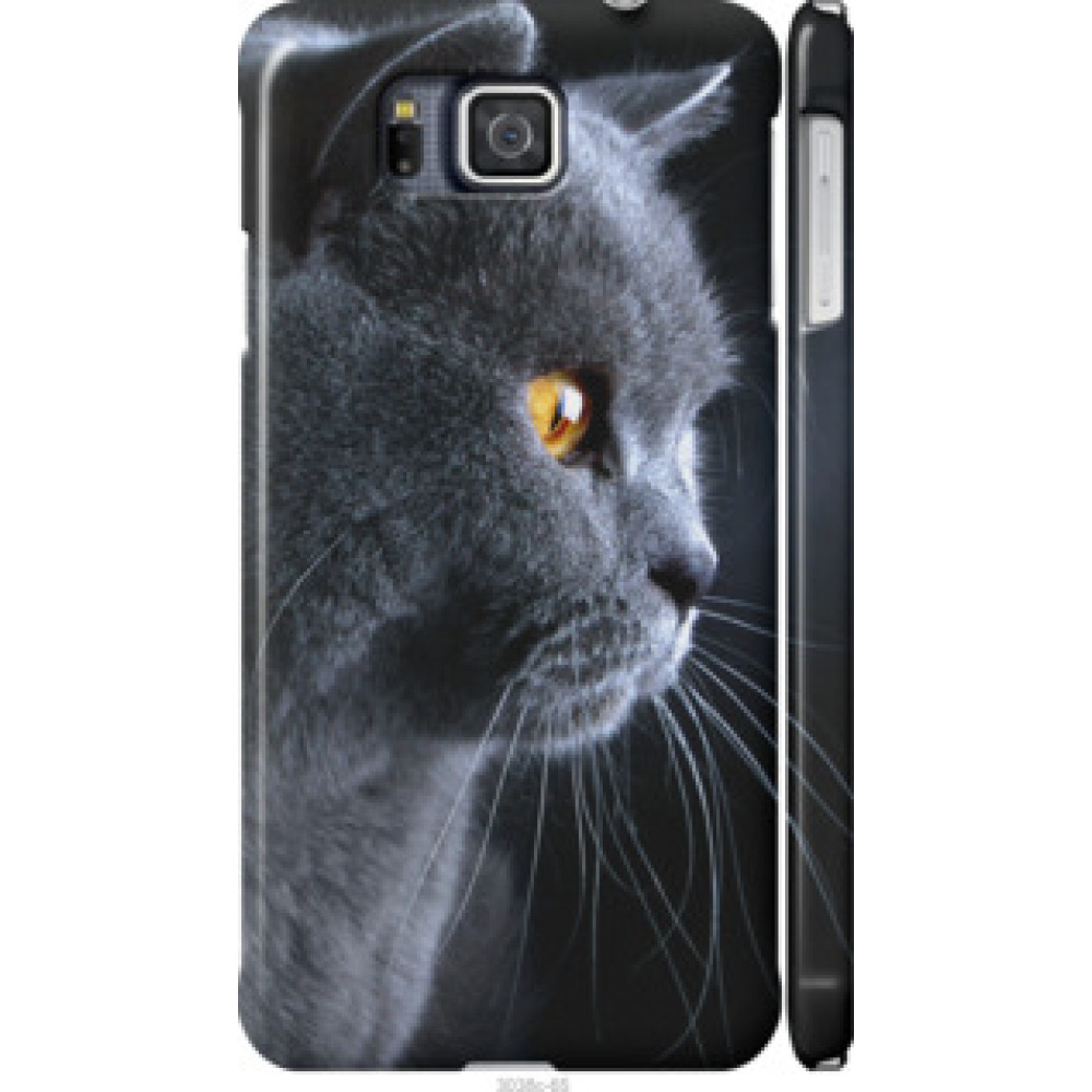 Чехол на Samsung Galaxy Alpha G850F Красивый кот (3038c-65)