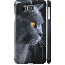 Чехол на Samsung Galaxy Alpha G850F Красивый кот (3038c-65)