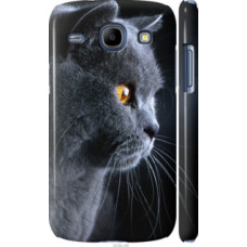 Чехол на Samsung Galaxy Core i8262 Красивый кот (3038c-88)