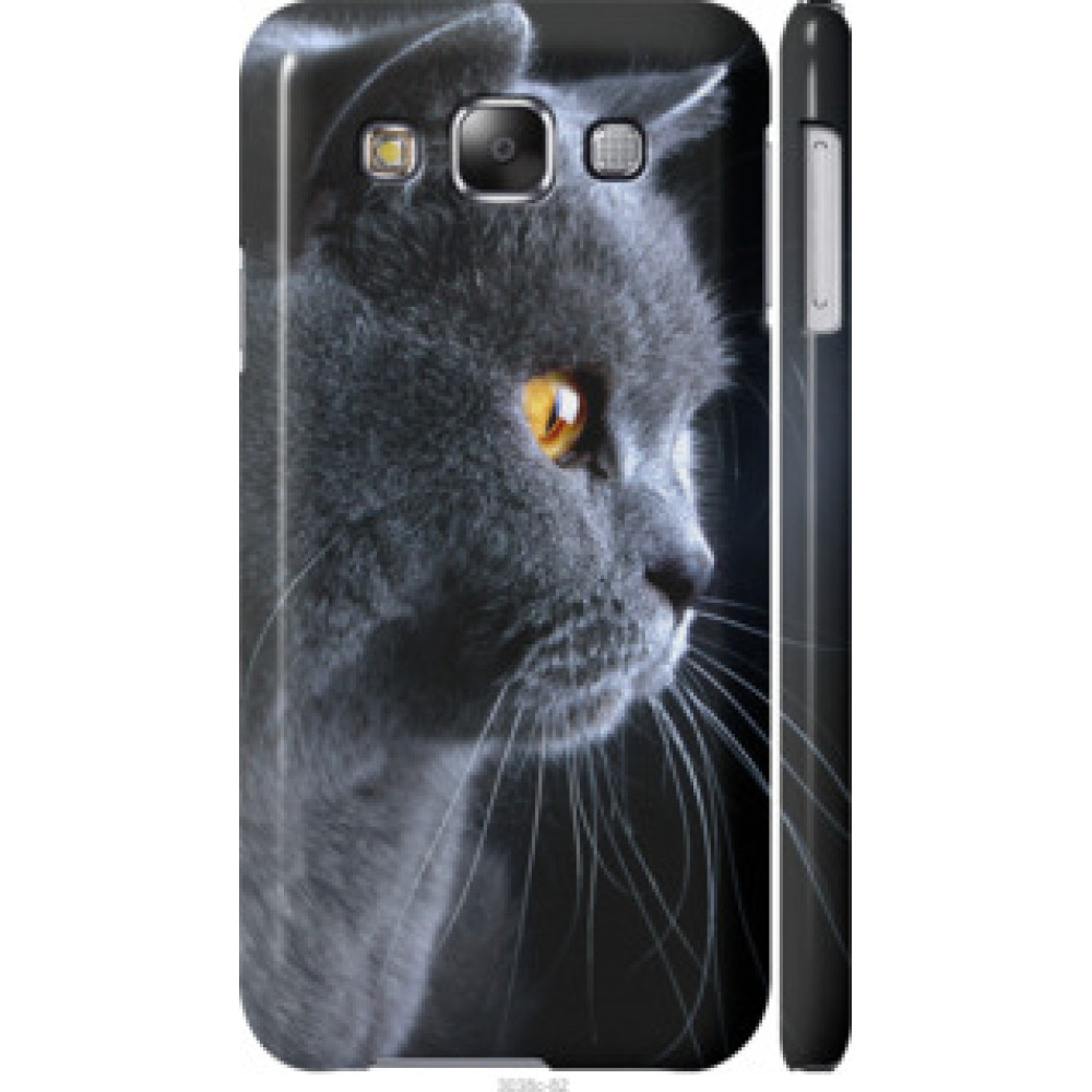 Чохол на Samsung Galaxy E5 E500H Красивый кот (3038c-82)