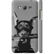 Чехол на Samsung Galaxy Grand Prime G530H Доберман (2745c-74)