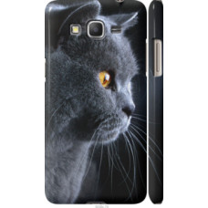 Чехол на Samsung Galaxy Grand Prime G530H Красивый кот (3038c-74)