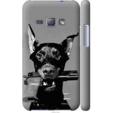 Чехол на Samsung Galaxy J1 (2016) Duos J120H Доберман (2745c-262)