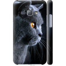 Чехол на Samsung Galaxy J1 (2016) Duos J120H Красивый кот (3038c-262)