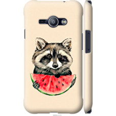 Чехол на Samsung Galaxy J1 Ace J110H Енотик с арбузом (4605c-215)