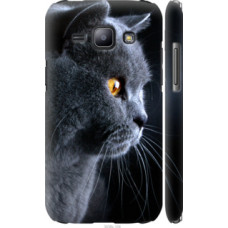Чехол на Samsung Galaxy J1 J100H Красивый кот (3038c-104)