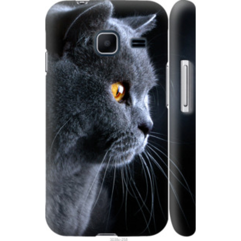 Чехол на Samsung Galaxy J1 Mini J105H Красивый кот (3038c-258)