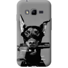 Чехол на Samsung Galaxy J1 Mini Prime J106 Доберман (2745u-632)