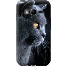 Чехол на Samsung Galaxy J1 Mini Prime J106 Красивый кот (3038u-632)