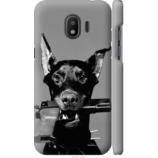 Чехол на Samsung Galaxy J2 2018 Доберман (2745c-1351)