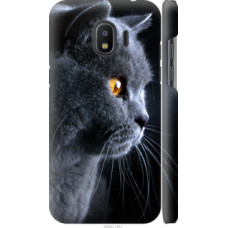 Чехол на Samsung Galaxy J2 2018 Красивый кот (3038c-1351)
