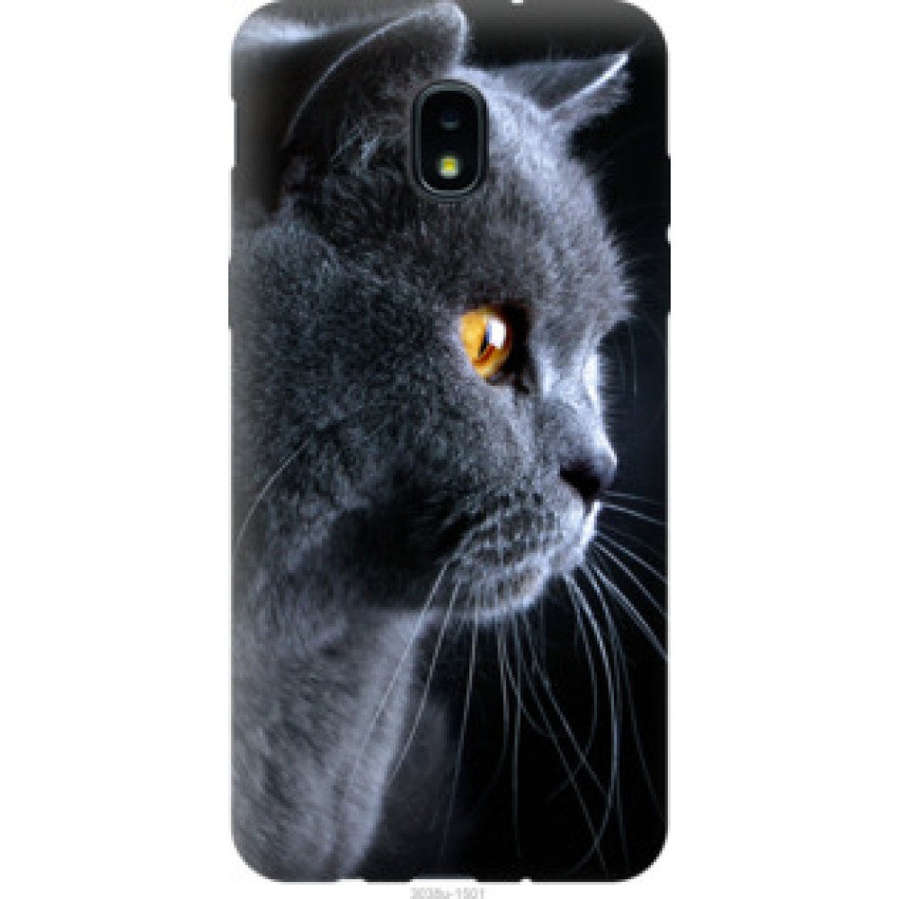 Чехол на Samsung Galaxy J3 2018 Красивый кот (3038u-1501)