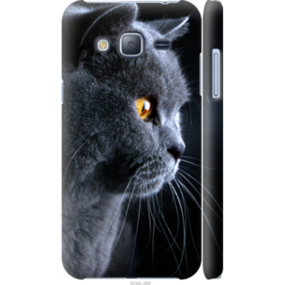 Чехол на Samsung Galaxy J3 Duos (2016) J320H Красивый кот (3038c-265)