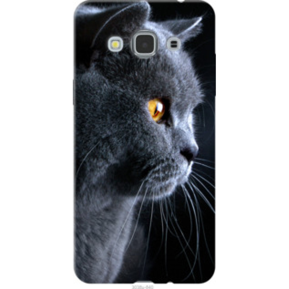 Чехол на Samsung Galaxy J3 Pro Красивый кот (3038u-840)