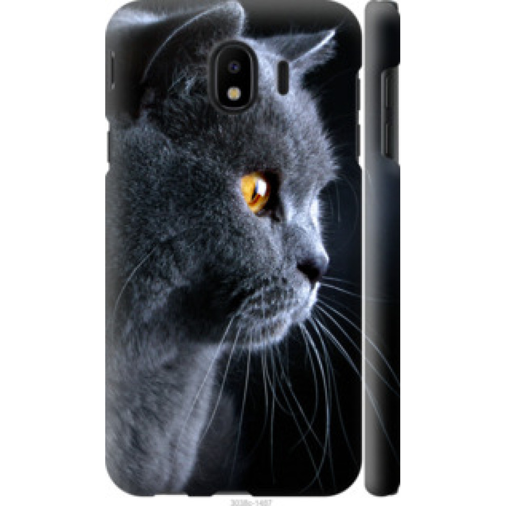 Чехол на Samsung Galaxy J4 2018 Красивый кот (3038c-1487)