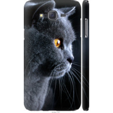 Чехол на Samsung Galaxy J7 J700H Красивый кот (3038c-101)