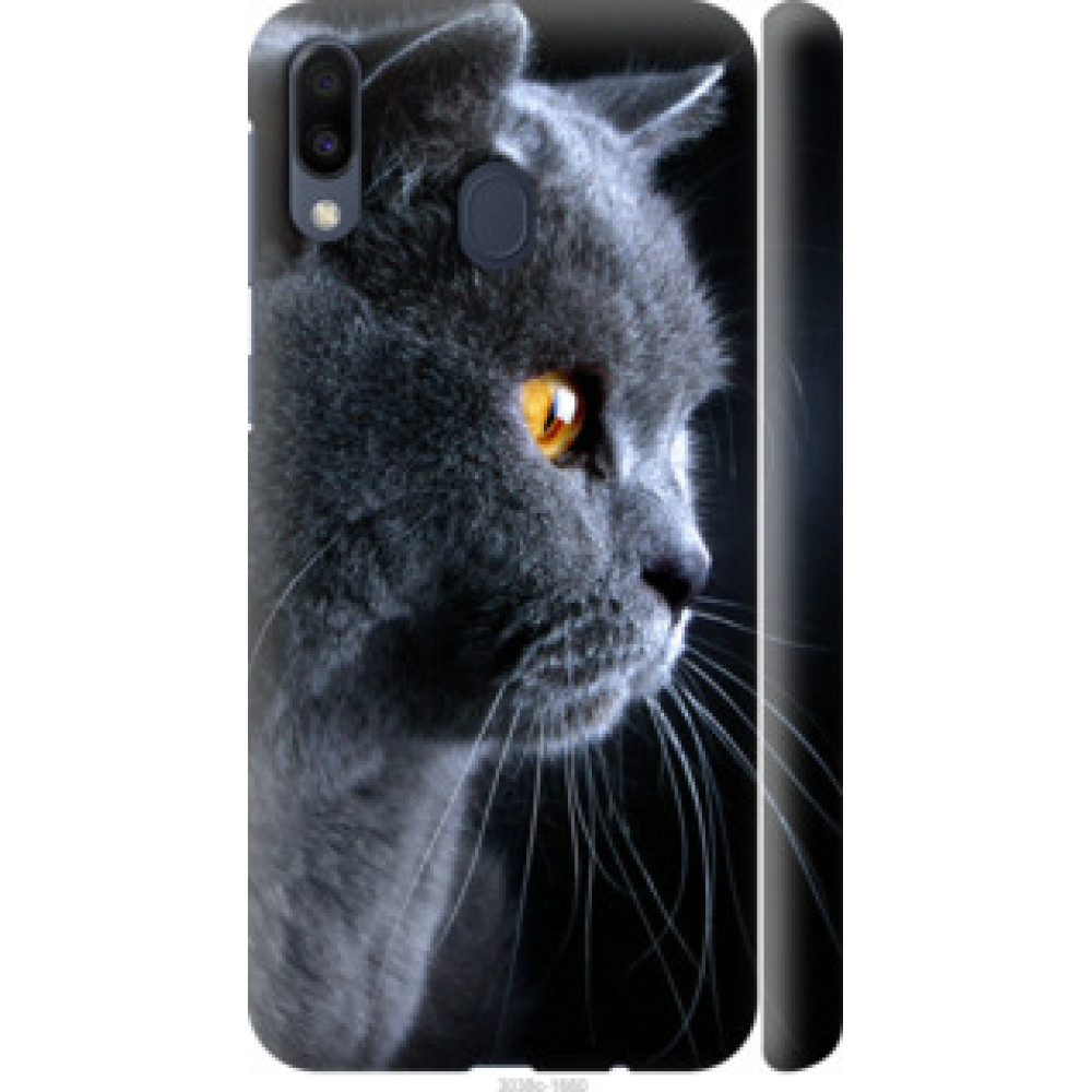 Чехол на Samsung Galaxy M20 Красивый кот (3038c-1660)
