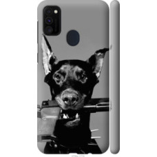 Чехол на Samsung Galaxy M30s 2019 Доберман (2745c-1774)