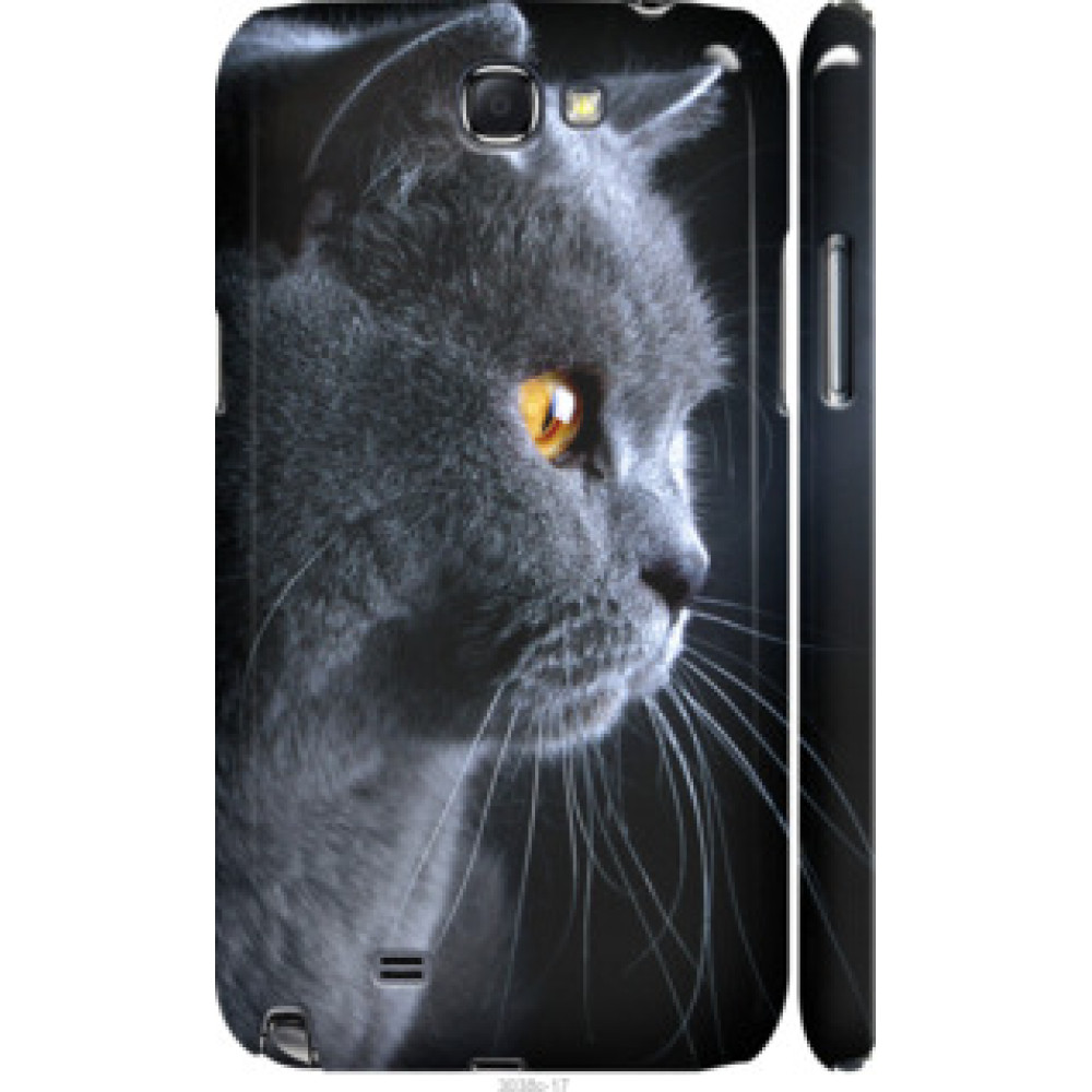 Чехол на Samsung Galaxy Note 2 N7100 Красивый кот (3038c-17)