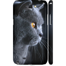 Чехол на Samsung Galaxy Note 2 N7100 Красивый кот (3038c-17)