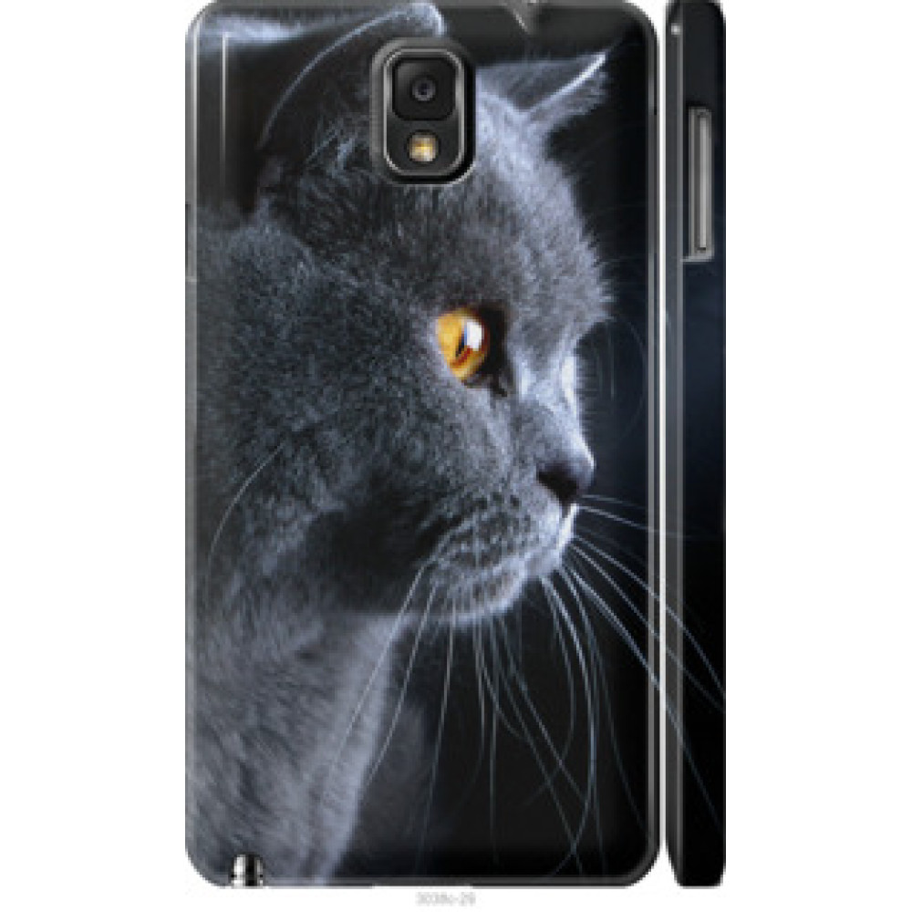 Чехол на Samsung Galaxy Note 3 N9000 Красивый кот (3038c-29)