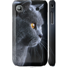 Чехол на Samsung Galaxy S i9000 Красивый кот (3038c-77)