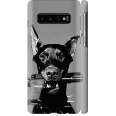 Чехол на Samsung Galaxy S10 Доберман (2745c-1640)