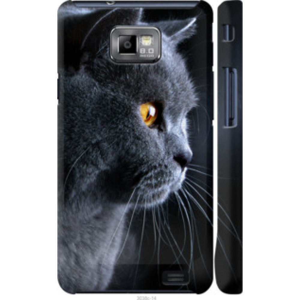 Чехол на Samsung Galaxy S2 Plus i9105 Красивый кот (3038c-71)