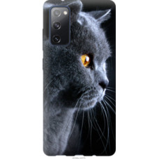 Чехол на Samsung Galaxy S20 FE G780F Красивый кот (3038u-2075)