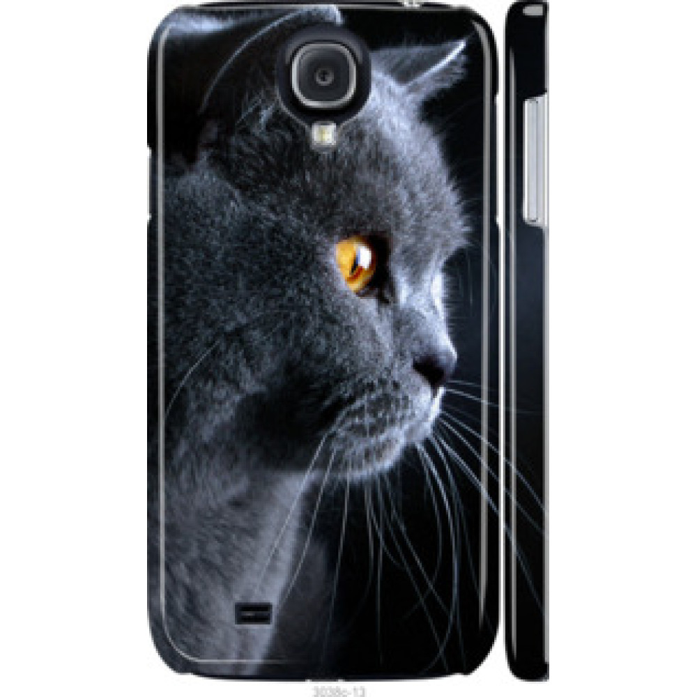 Чохол на Samsung Galaxy S4 i9500 Красивый кот (3038c-13)