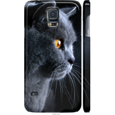 Чехол на Samsung Galaxy S5 Duos SM G900FD Красивый кот (3038c-62)