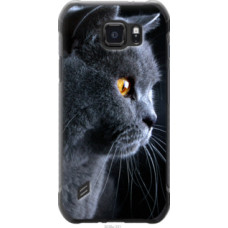Чехол на Samsung Galaxy S6 active G890 Красивый кот (3038u-331)
