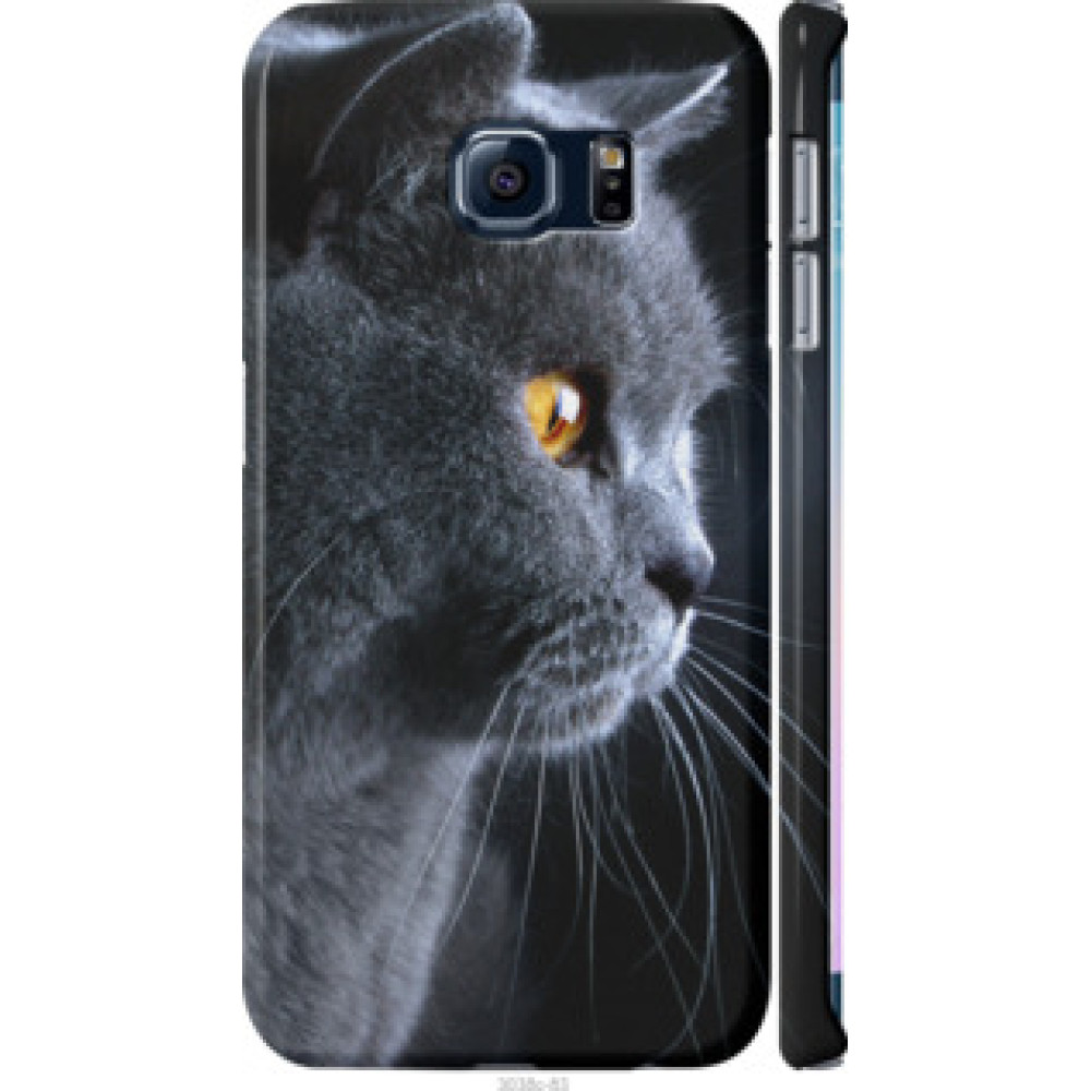 Чехол на Samsung Galaxy S6 Edge G925F Красивый кот (3038c-83)