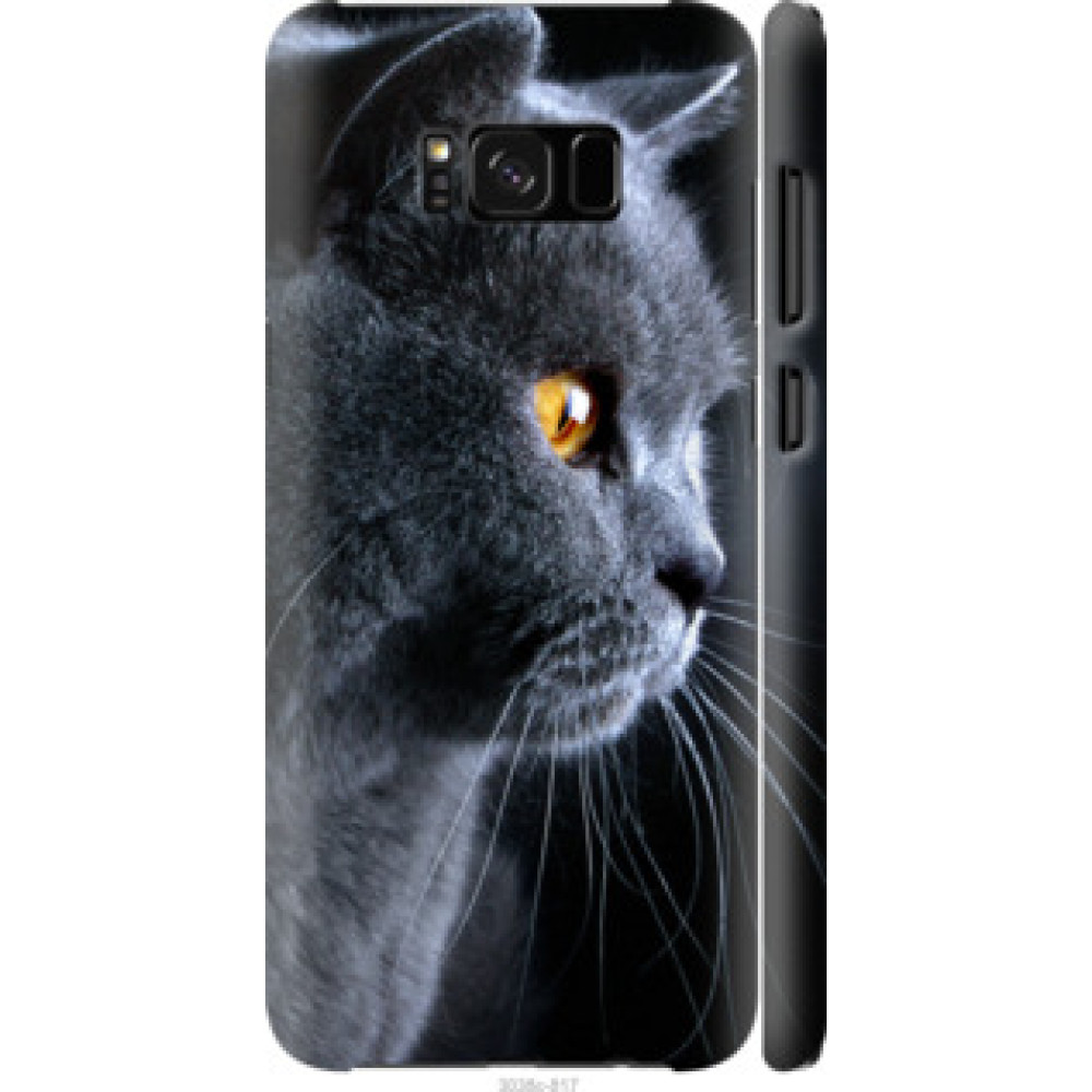 Чехол на Galaxy S8 Plus Красивый кот (3038c-817)