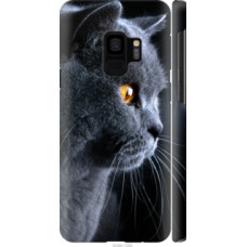 Чехол на Samsung Galaxy S9 Красивый кот (3038c-1355)