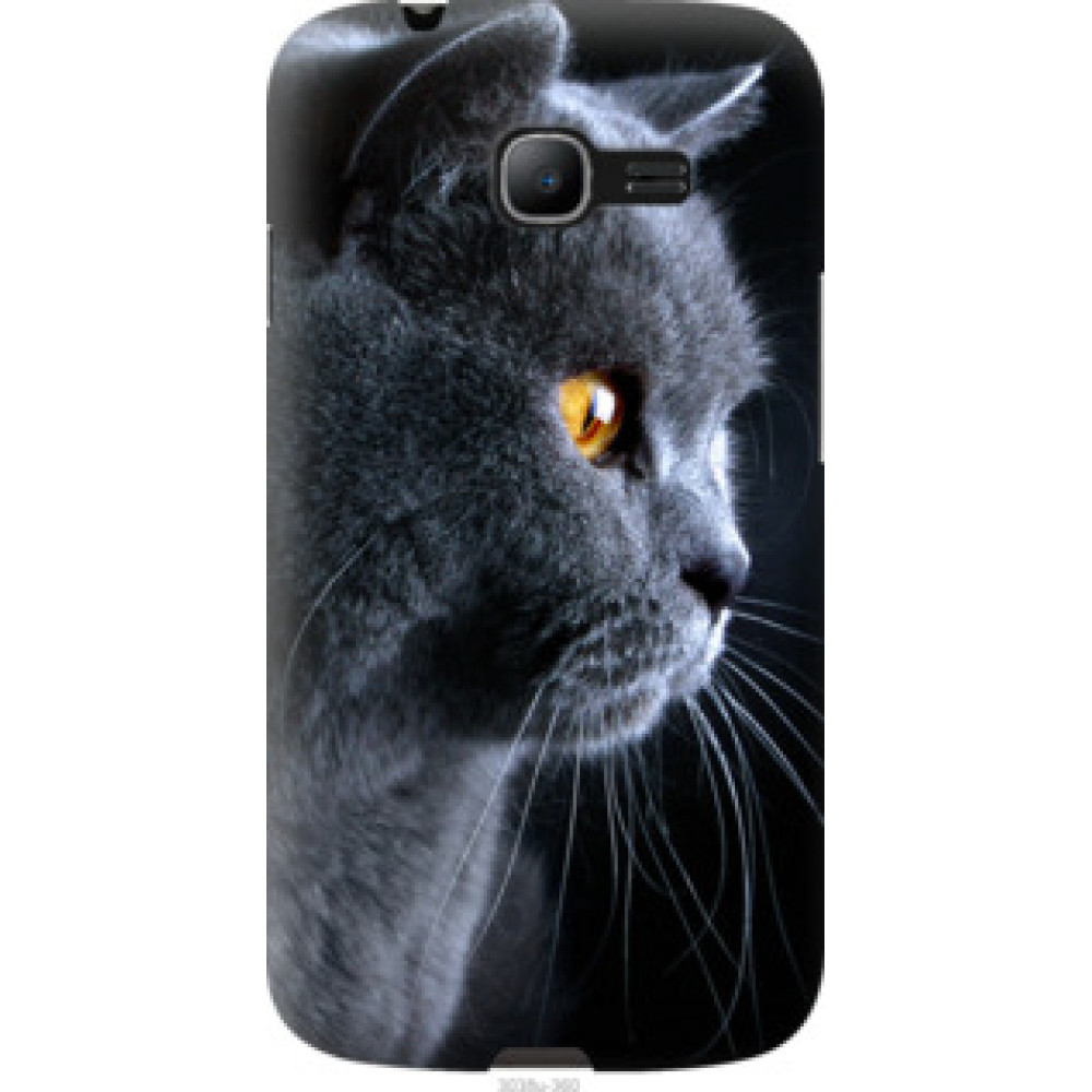 Чехол на Samsung Galaxy Star Plus S7262 Красивый кот (3038u-360)