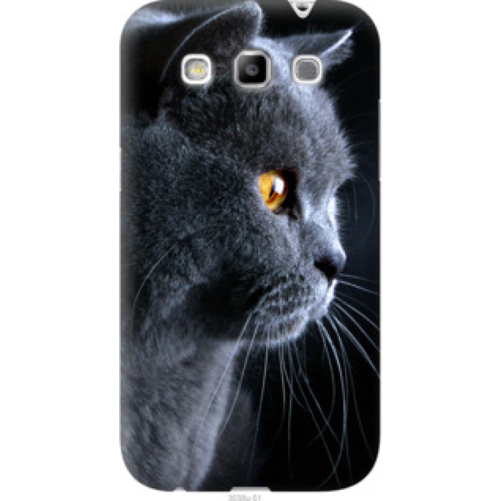 Чехол на Samsung Galaxy Win i8552 Красивый кот (3038u-51)