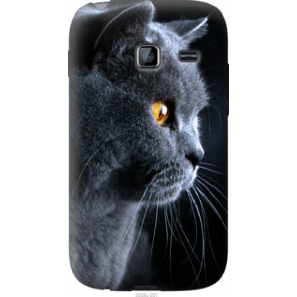 Чехол на Samsung Galaxy Y Duos S6102 Красивый кот (3038u-251)
