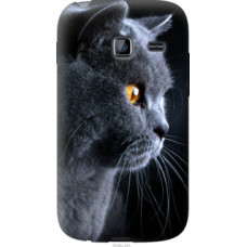Чехол на Samsung Galaxy Y Duos S6102 Красивый кот (3038u-251)