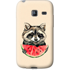 Чехол на Samsung Galaxy Y Duos S6102 Енотик с арбузом (4605u-251)